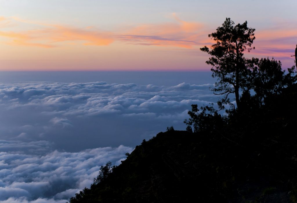 Landscape Photo Above the Clouds of a Tree Silhouetted at Sunset from Mount Rinjani, Lombok, Indones Landscape Photo Above the Clouds of a Tree Silhouetted at Sunset from Mount Rinjani, Lombok, Indones
